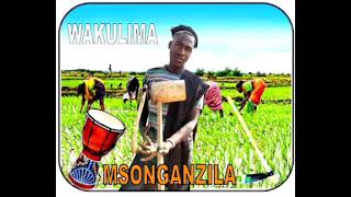 MSONGA NZILA  WAKULIMA  BY SEBLO STUDIO 2024 [upl. by Las]