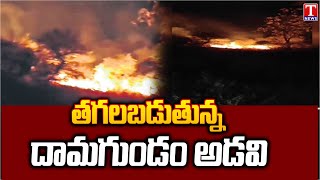 Damagundam Forest  దామగుండం అడవిలో కార్చిచ్చు వంద ఎకరాల వరకు ఆహుతి  T News [upl. by Acimehs]