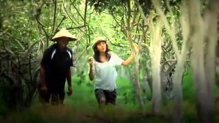 Video Promosi Wisata Jawa Timur  Wonderful Indonesia  East Java [upl. by Yrrehs784]