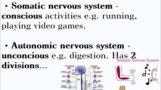 Animal Responses  ALevel A2 Biology Revision [upl. by Aleil]