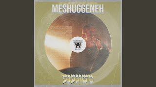 Meshuggeneh [upl. by Llerod]