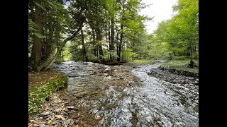 Hiking the Susquehannock Trail System in Potter County  Part 1 [upl. by Tuck]