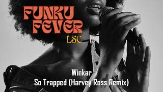 Winkar  So Trapped Harvey Ross Remix [upl. by Gove953]