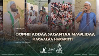 Qophii addaa sagantaa mawlidaa magaalaa hararitti  Kutaa 1ffaa [upl. by Akahc]