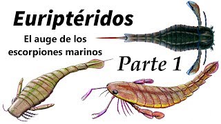 Euriptéridos Parte 1 el auge de los escorpiones marinos [upl. by Sevik75]