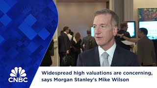 Widespread high valuations are concerning says Morgan Stanleys Mike Wilson [upl. by Nyrrad187]