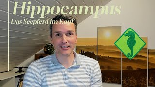 Hippocampus  der Bibliothekar im Kopf Folge 8 [upl. by Lean469]