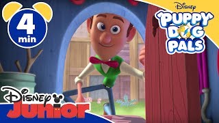 Puppy Dog Pals  Il bastone appuntito  Disney Junior Italia [upl. by Inaffit28]