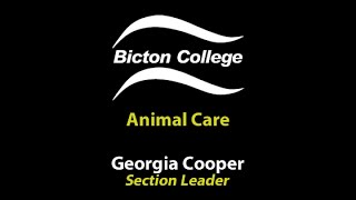 Study Animal Care at Bicton College Devon [upl. by Ocir900]