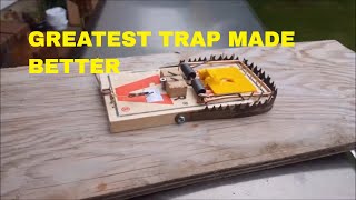 HOW TO MAKE THE GREATEST RAT TRAP BETTER [upl. by Lennor]