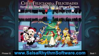 Cheo Feliciano  Felicidades  Salsa Rhythm amp Timing Video HD [upl. by Kreitman]