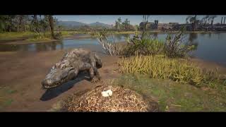 Red Dead Redemption 2  The Lethal Alligator National Geographic [upl. by Valery251]