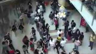 Beirut Lebanon Freeze  Flash mob in City Mall [upl. by Venable665]