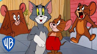 Tom y Jerry en Latino  Lo mejor del ratón Jerry 🐭🤎  WBKidsLatino [upl. by Judah]