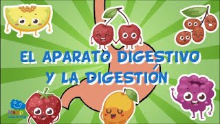 EL APARATO DIGESTIVO Y LA DIGESTIÓN  Videos Educativos para Niños [upl. by Chyou]