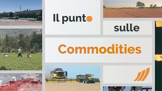 Il punto sulle commodities 9 dicembre 2024 [upl. by Sheena]