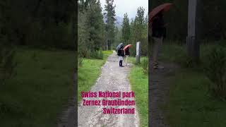 Swiss national park Zernez Graubünden Switzerland 2024 [upl. by Drarehs]