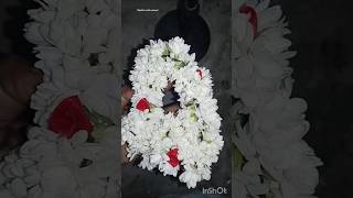 🌸flower arrangement ✨😍vigashini veettu samayal sortsfeed sorts [upl. by Akehs204]