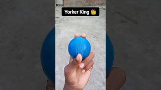 perfect yorker 👍 short yorker shortvideo tips youtubeshort fastbowling [upl. by Sage]