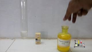 Silver Nitrate and Potassium Chromate [upl. by Eilagam]