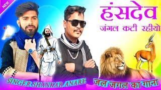 anil piplaj new song 2024 सिंगर शंकर अनार का गाना Hasdev Jungle ka gana shankar anare new song [upl. by Enitselec]