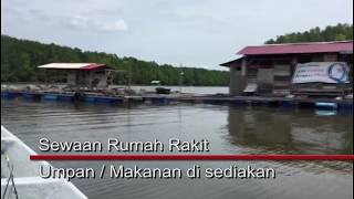 Memancing Kuala Trong terbaik [upl. by Rehportsirhc38]