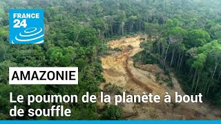 Amazonie Le poumon de la planète à bout de souffle • FRANCE 24 [upl. by Aschim]