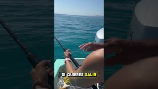 Pesca de PARGO🎣 con CARNADA gigante 😮 lapazbcs fishing [upl. by Dincolo]