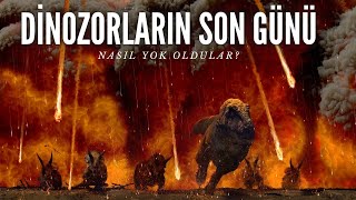 DİNOZORLARIN SON GÜNÜ  Dinozorlar neden yok oldu [upl. by Aynor366]