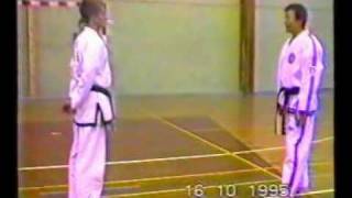 GTF Taekwondo  GM Park Jung Tae breaks [upl. by Kohler882]