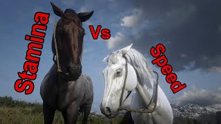 Stamina vs Speed  White Arabian vs Chocolate Roan Dutch Warmblood  Red Dead Redemption 2 [upl. by Esyli]