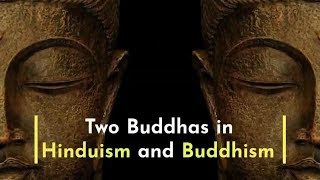 Two Buddhas in Hinduism and Buddhism [upl. by Ettelra]