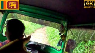 Most Scary Tuk Tuk Ride In Ella Sri Lanka [upl. by Ennahs494]