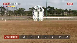 Live Hippodrome « CASABLANCA »  Courses du «02092024 » [upl. by Lamori]