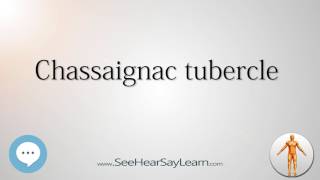 Chassaignac tubercle Anatomy Named After People 🔊 [upl. by Kcirttap]