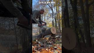 Using Stihl chainsaw [upl. by Arreyt938]