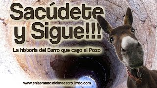 Reflexiones Cristianas  ¡Sacúdete y sigue  La historia del burro que cayo al pozo [upl. by Sanyu]