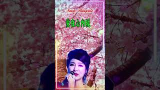 【愛在心內暖 米雪 鄭少秋】香港粵語怀旧金典名曲歌曲 Michelle Adam Cheng Love In Warm Heart Nostalgic Classic Cantonese Hits [upl. by Larry]