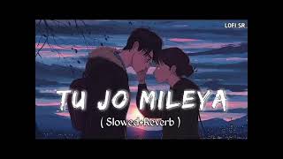 Tu Jo Mileya  Juss x MixSingh  New Punjabi Song 2024  Latest Punjabi Songs 2024 [upl. by Marron]