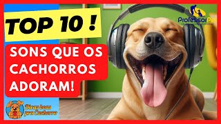 Top 10 SONS QUE OS CACHORROS ADORAM OUVIR Assista com seu cão  React Canino [upl. by Rorie]