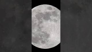 November Supermoon 2024 Zoomed In supermoon2024 moonvideo nofilter [upl. by Karil440]