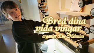 BRED DINA VIDA VINGAR med organist Elis Helenius [upl. by Ordway611]