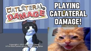 RAGING in Catlateral Damage [upl. by Michigan333]