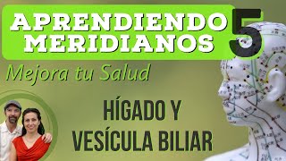 MERIDIANOS Energéticos  HIGADO y VESICULA BILIAR  MEJORA TU SALUD Trazando meridianos  Parte 5 [upl. by Fayette]