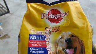 Pomeranian eating pedigree  Pedigree Dog Food review [upl. by Adnoraj350]