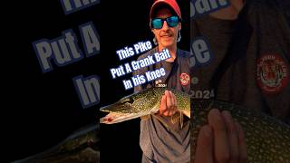 Crank Bait In The knee pikefishing fortheboys [upl. by Cristal]