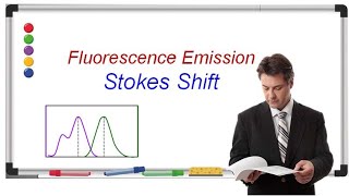 Stokes Shift  Explained  Get high grade in exam  Fluorescence Spectroscopy  Lecture Notes [upl. by Enenaj]