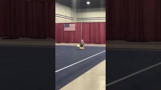 Rhythmic gymnastics Ball Routine amazing level 5 [upl. by Nairbal]