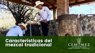 Características del mezcal tradicional [upl. by Nilkoorb]