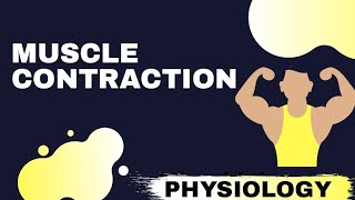 Muscle ContractionRevision [upl. by Michal71]